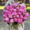Пионы ярко-розовые Флеминг